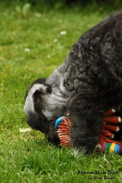 Antares 2009-07-12 (18).JPG